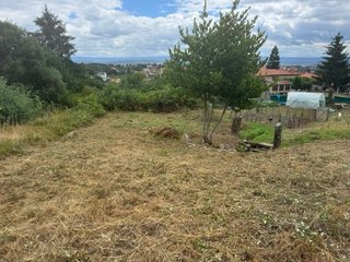 Desbroces de fincas a mano o con tractor