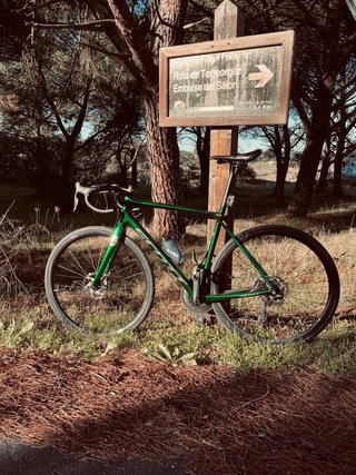 Scott Solace Ultegra Di2