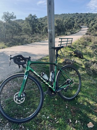 Scott Solace Ultegra Di2