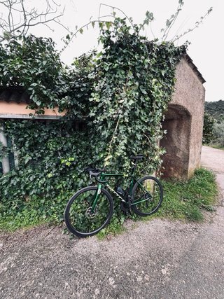 Scott Solace Ultegra Di2