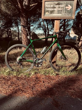 Scott Solace Ultegra Di2