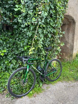Scott Solace Ultegra Di2