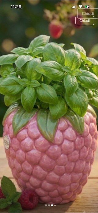 Vaso Lampone in Ceramica