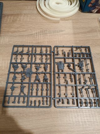 X32 Ballesteros/Atronadores Enanos