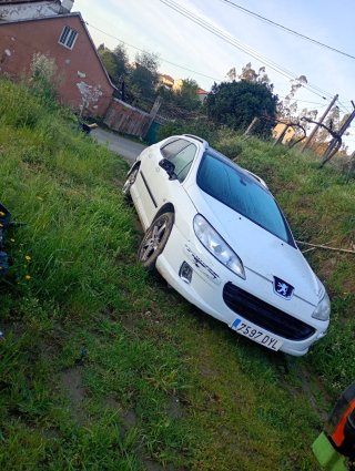 Despiece Peugeot 407
