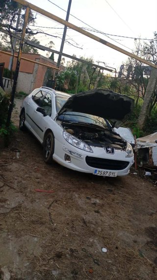 Despiece Peugeot 407