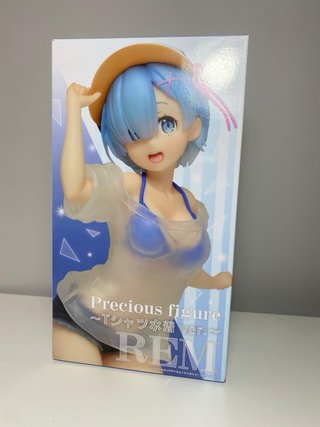 Figure bundle Anime Rem & Hatsune Miku