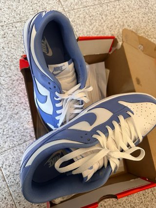 Nike Dunk Azul y Blanco