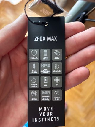 Patinete Eléctrico ZWHEEL ZFox Max