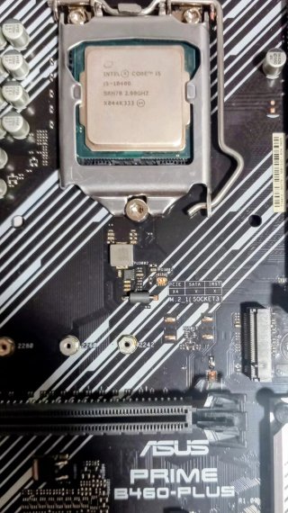 Placa Base Asus B460-PLUS + Core i5 10400