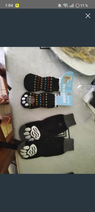 Calcetines para perro verano