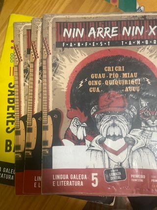 Proxecto: FanFest. Lingua Galega e Literatura 5...