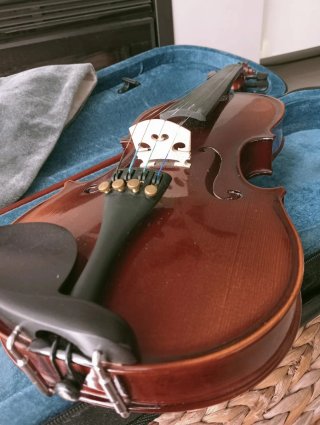 Violín 3/4 con funda y arco
