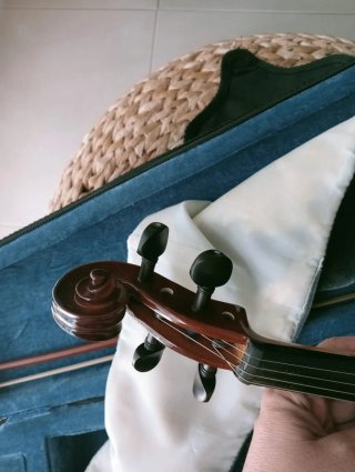 Violín 3/4 con funda y arco