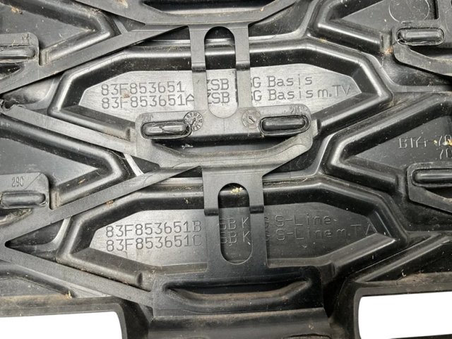 Parrilla frontal Audi Q3 F3 19-25