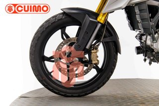 BMW G 310 GS