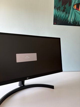 Monitor LG Negro 29 pulgadas
