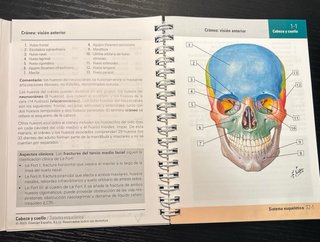 Netter. Flashcards de anatomía. Cabeza y cuello