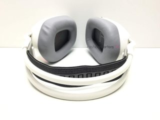 diadema forgeon captain