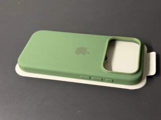 Cover iPhone 17 Pro Silicone MagSafe Verde