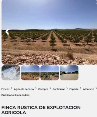 ▪Finca 259 Hectáreas Albacete - Caza y Agricultura