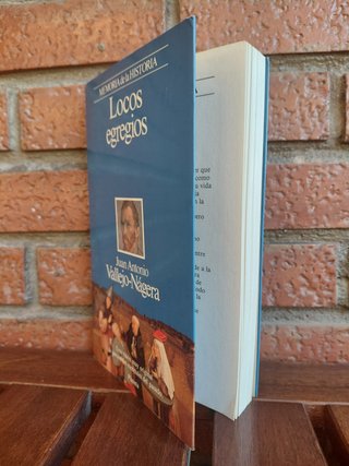 Locos egregios. Juan Antonio  Vallejo-Nágera