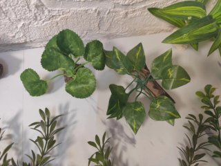 Plantas artificiales acuario más raices