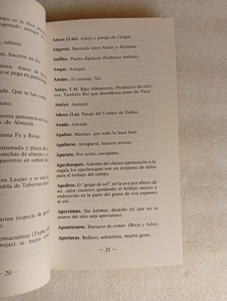 DICCIONARIO ALMERIENSE DE FRANCISCO J. RUEDA CASSI
