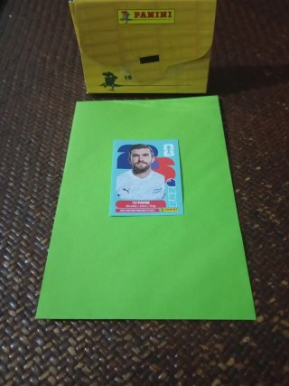 Cromo Tim Payne Panini Mundial 2026