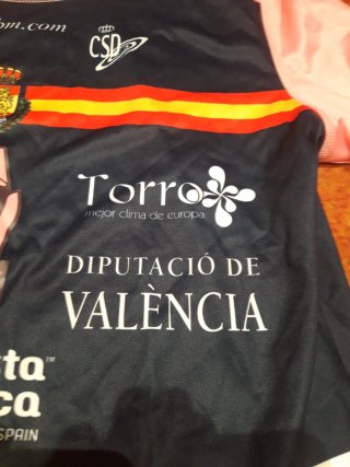 Camiseta Balonmano España Match Worn