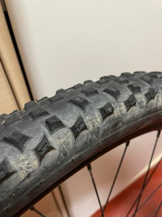 Llantas STX i21 29” y cubiertas MTB