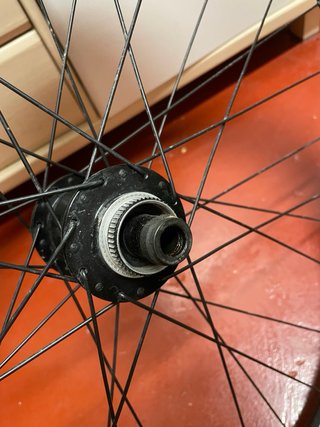 Llantas STX i21 29” y cubiertas MTB