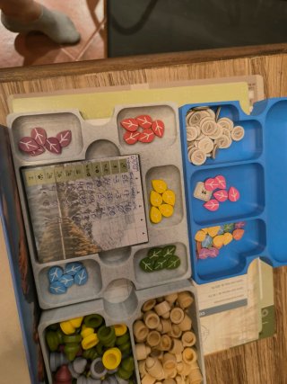 Inserto para juego de mesa EARTH