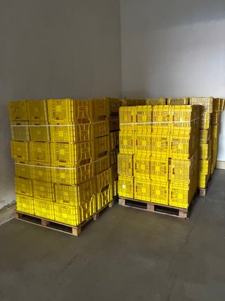 Cajas de plástico para fruta (amarillas)