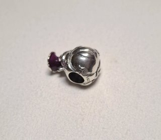 Charm Rapunzel