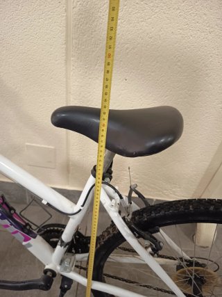 Bicicleta Junior Blanca 26