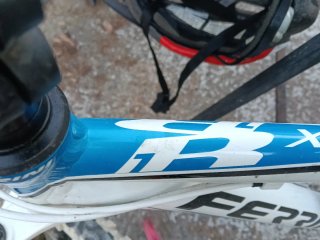 Bici Ferrini buen estado