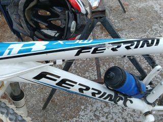 Bici Ferrini buen estado