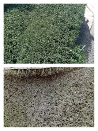 Césped artificial reciclado