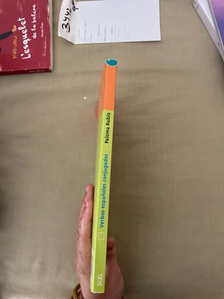 Verbos españoles conjugados