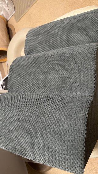 Escalera para perro desenfundable