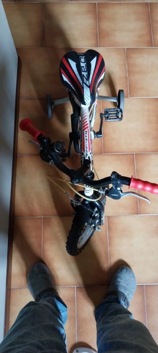 Bicicletta 12 Doublezz Z-Boy 2-4 anni