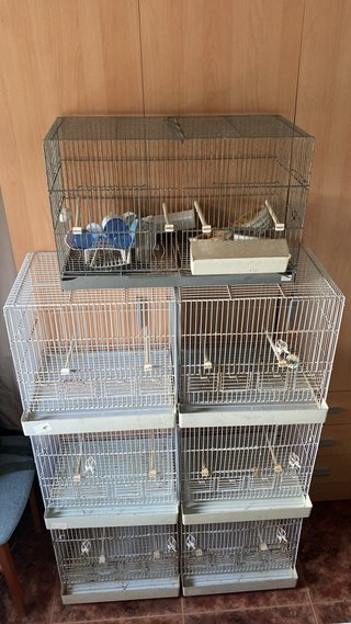 Jaulones para pájaros: 3 de 1m y 1 de 60cm