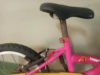 Bicicleta infantil 16 pulgadas, preciosa.