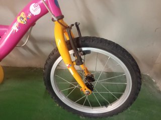 Bicicleta infantil 16 pulgadas, preciosa.