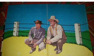 BONANZA-AVENTURAS DE LOS CARTWRIGHT-OESTE