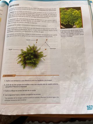 BIOLOGÍA Y GEOLOGÍA 1