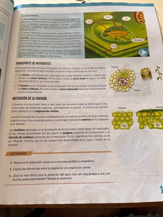 BIOLOGÍA Y GEOLOGÍA 1