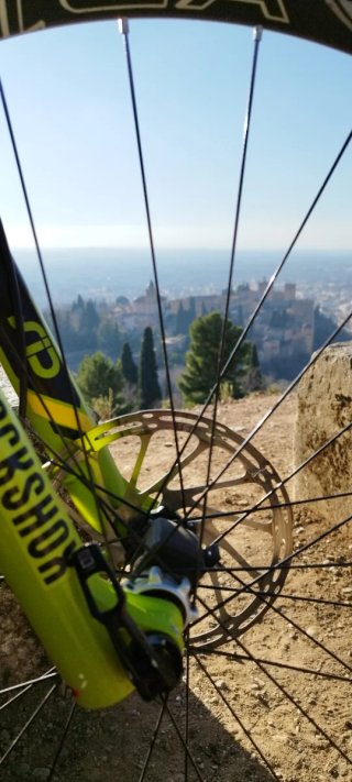 Bici MTB Carbono Canyon