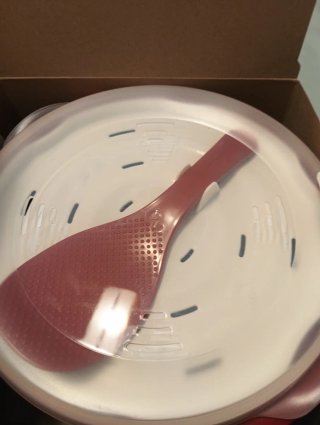 Cocedor Arroz Microondas Ernesto Rojo